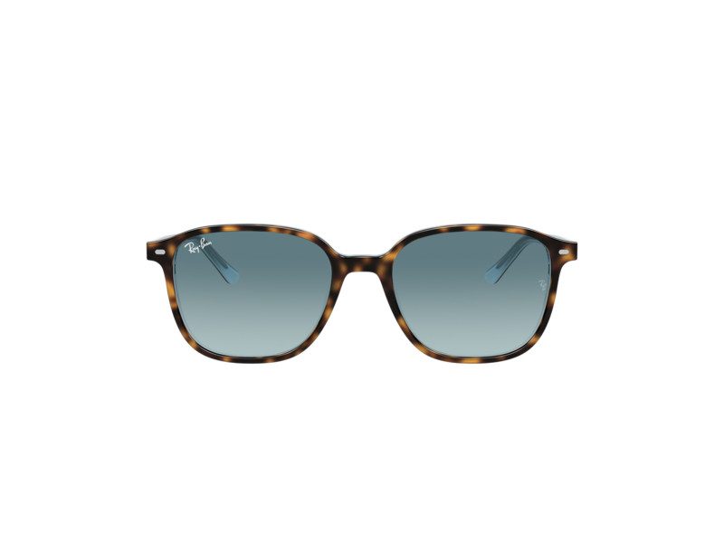 Ray-Ban Leonard RB 2193 1316/3M 55 Férfi, Női napszemüveg