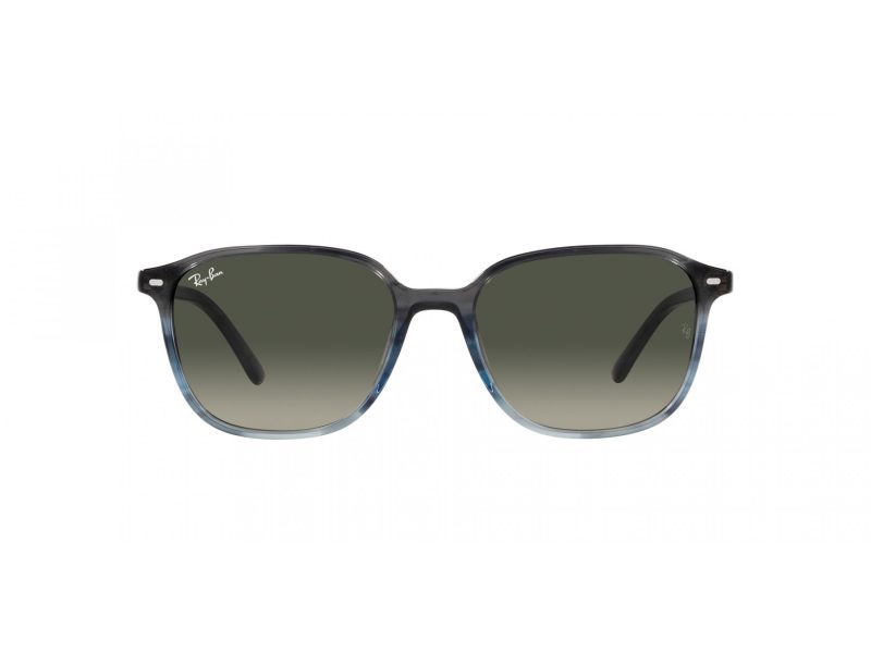 Ray-Ban Leonard RB 2193 138171 55 Férfi, Női napszemüveg