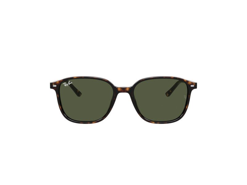 Ray-Ban Leonard RB 2193 902/31 53 Férfi, Női napszemüveg