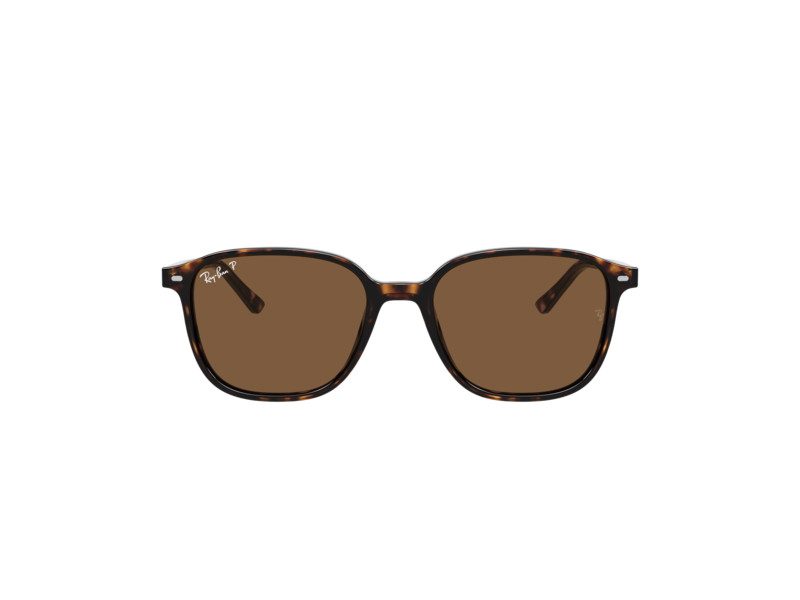 Ray-Ban Leonard RB 2193 902/57 53 Férfi, Női napszemüveg