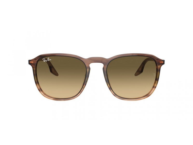 Ray-Ban RB 2203 13920A 52 Férfi, Női napszemüveg